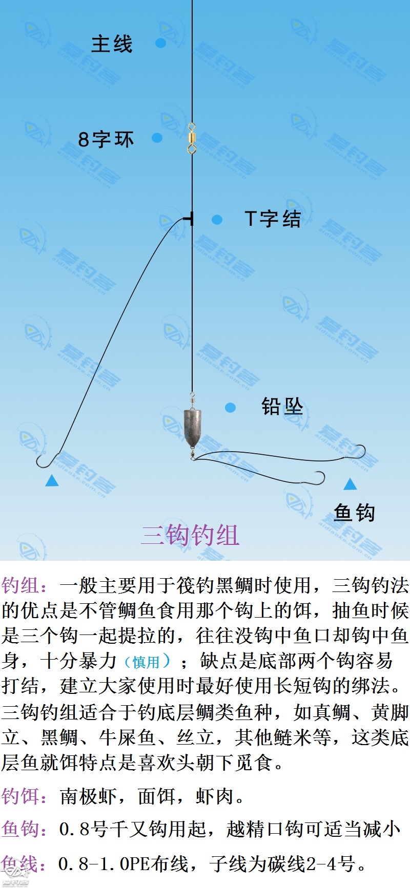 钓组分享 | 三钩钓组